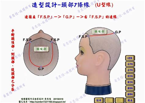 頭部七條基準線中，側頭線是|黃思恒編製數位美髮影片